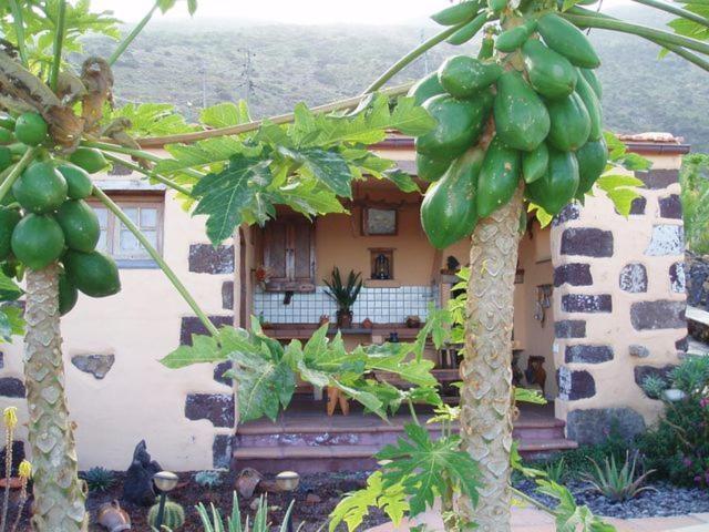 Casa De Mi Abuela Maria Guest House Frontera Exterior photo